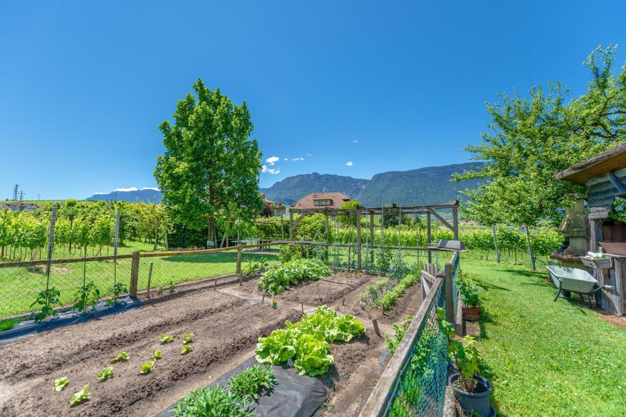 Haus Oberhofer Bed & Breakfast Girlan Dış mekan fotoğraf