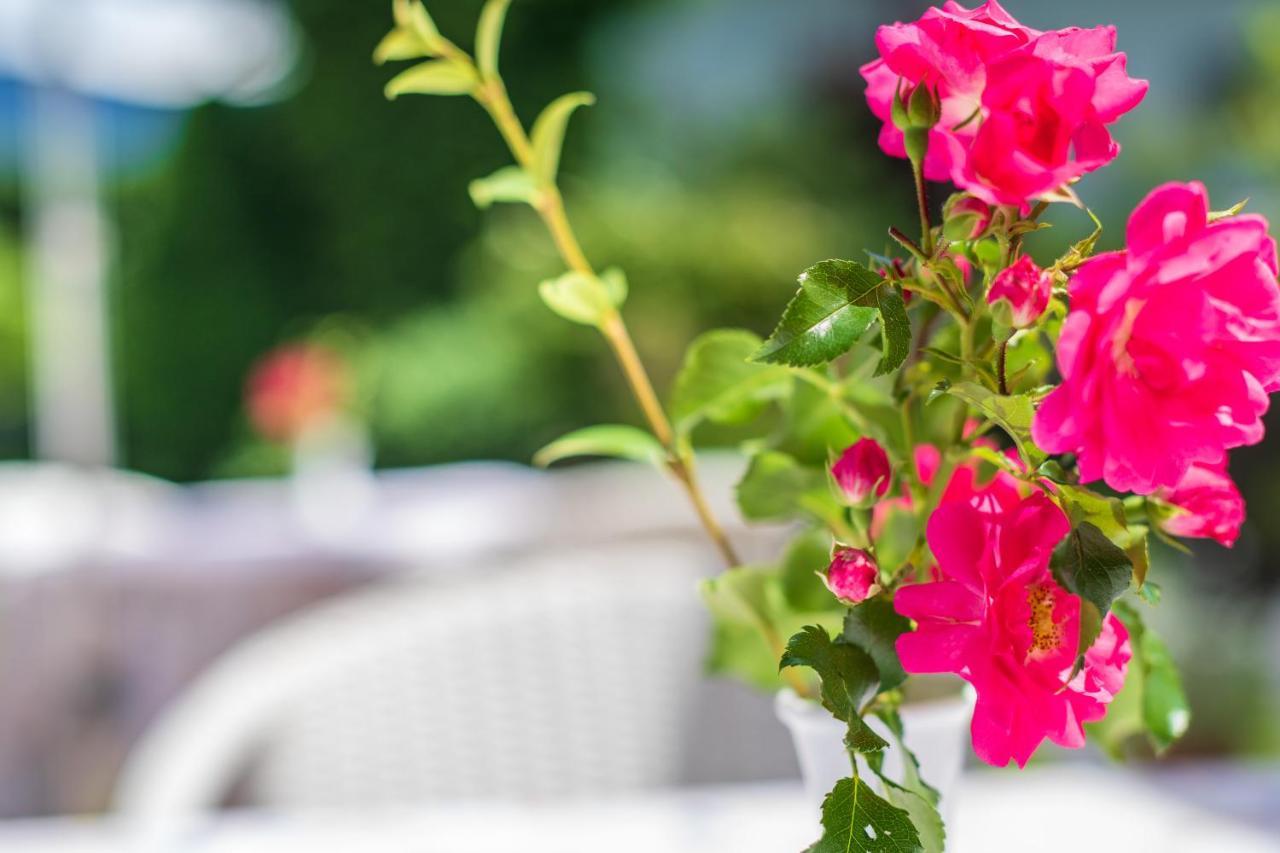 Haus Oberhofer Bed & Breakfast Girlan Dış mekan fotoğraf